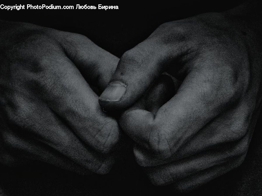 Finger, Hand