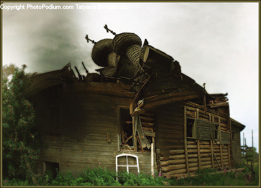 Plant, Potted Plant, Building, Hut, Log Cabin, Shack, Architecture