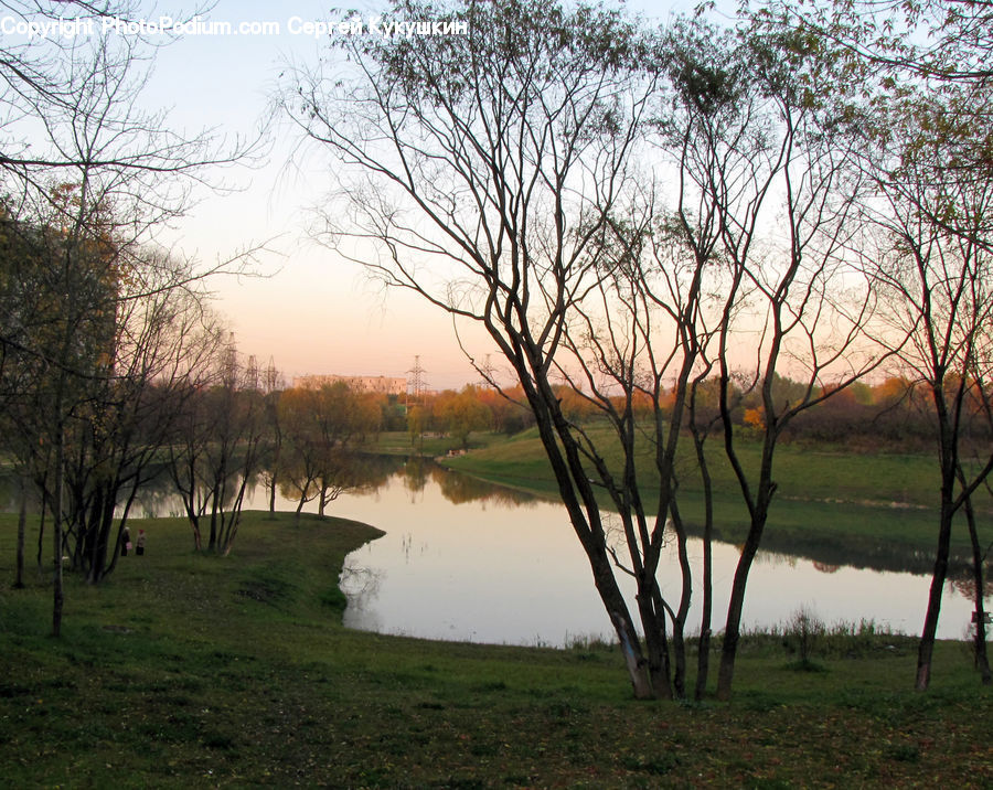 Landscape, Nature, Scenery, Park, Field, Grass, Grassland
