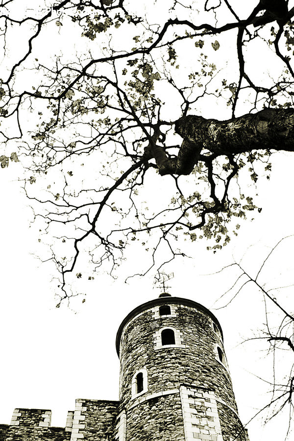 Architecture, Tower, Cathedral, Church, Worship, Bell Tower, Clock Tower