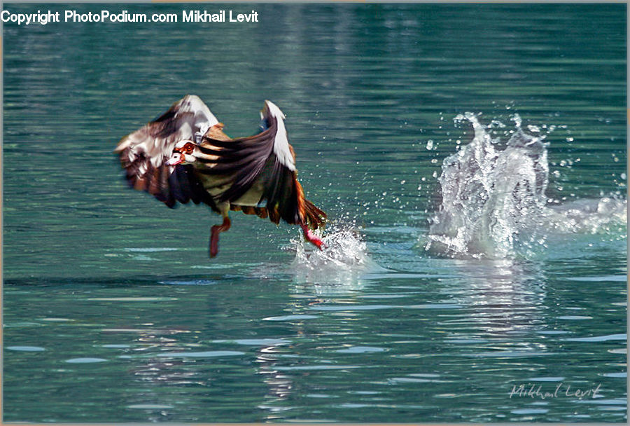 Outdoors, Ripple, Water, Sea, Leisure Activities