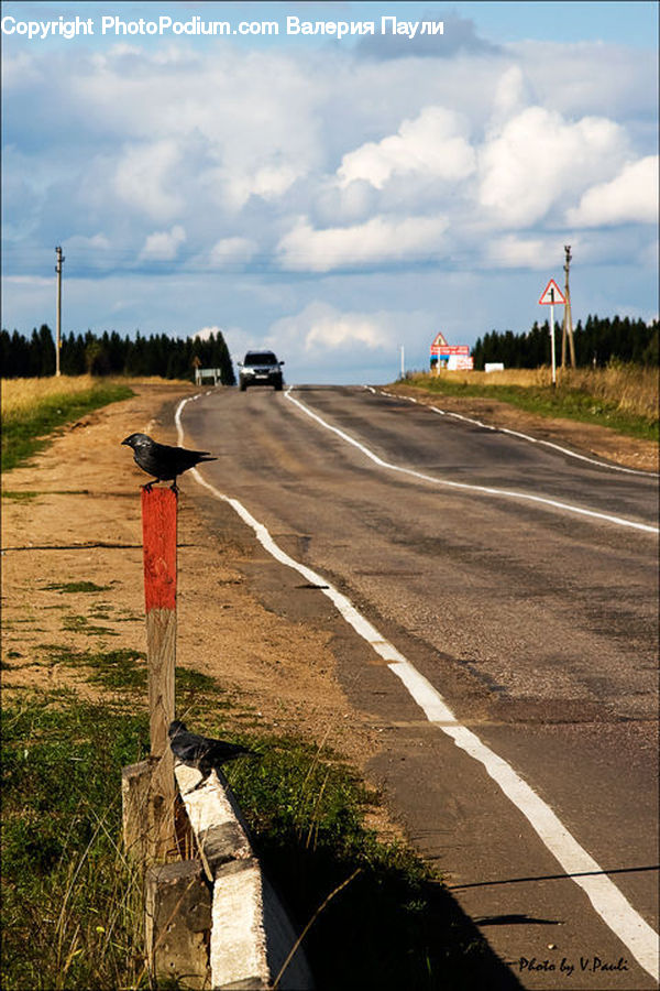 Dirt Road, Gravel, Road, Intersection, Path, Walkway, Rock