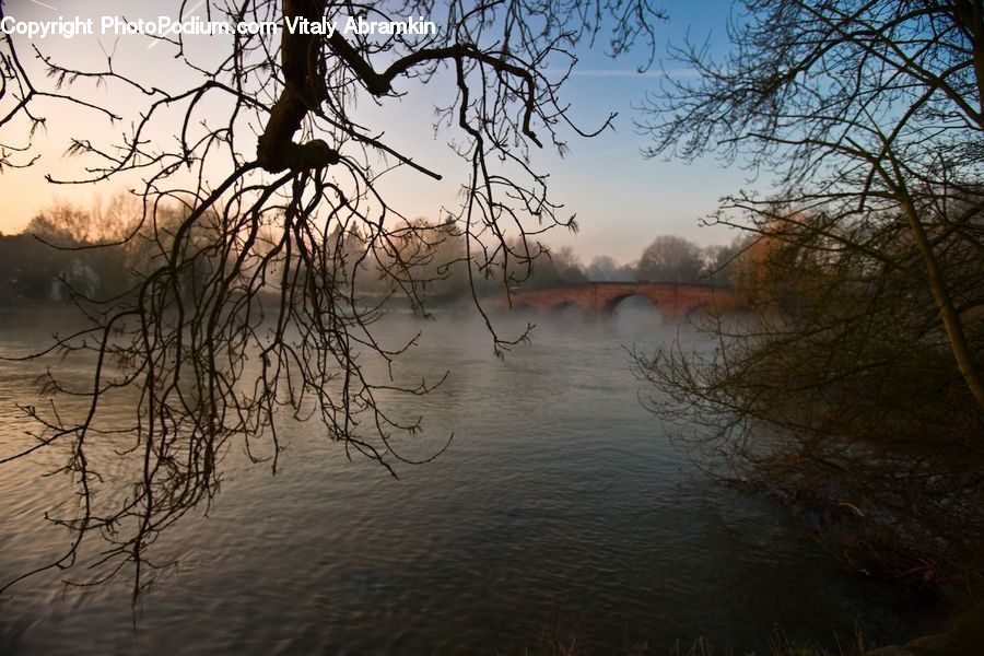 Flood, Landscape, Nature, Scenery, Plant, Tree
