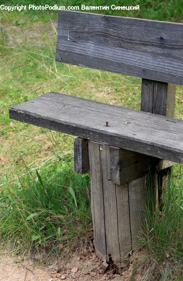 Park Bench, Yard, Bench, Backyard, Field, Grass, Grassland