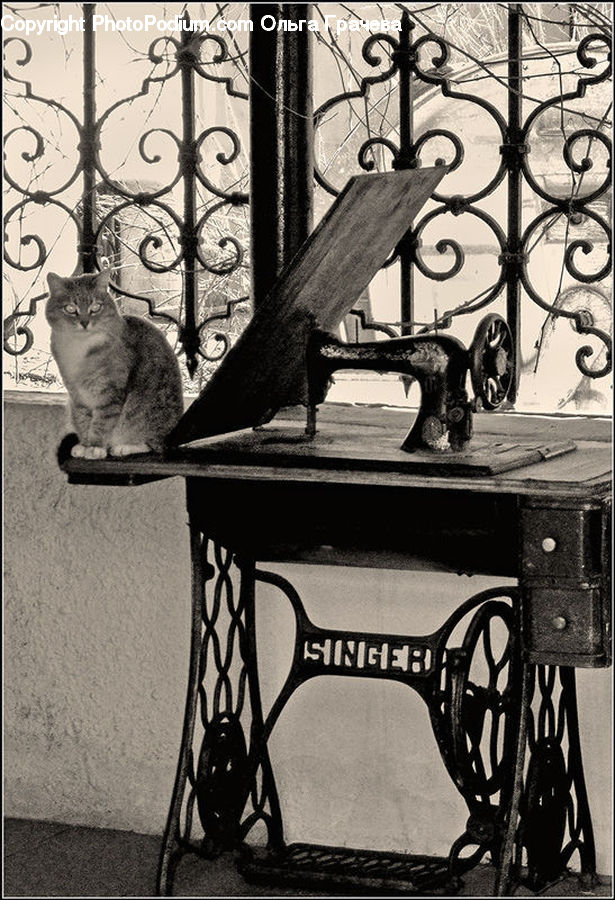 Appliance, Machine, Sewing Machine, Animal, Cat, Egyptian Cat, Mammal