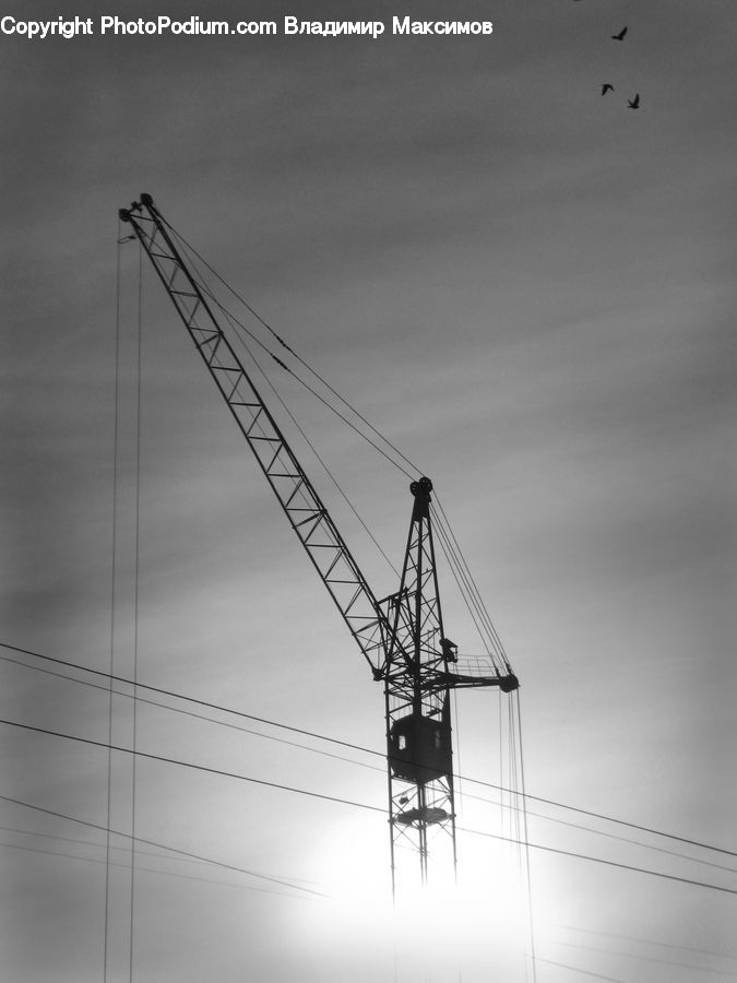 Constriction Crane