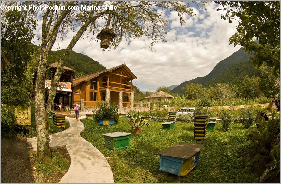 Building, Cottage, Housing, Hotel, Resort, Forest, Jungle