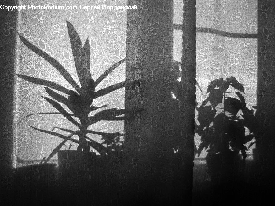 Silhouette, Fence, Wall, Art, Carpet, Tapestry, Plant