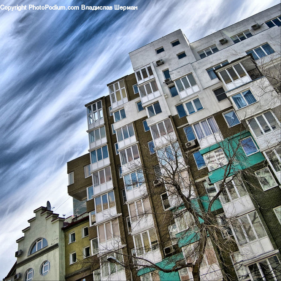 Building, Housing, Apartment Building, High Rise, City, Plant, Vine