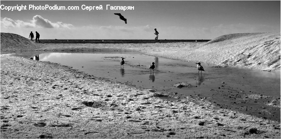 Outdoors, Sand, Soil, Beach, Coast, Sea, Water