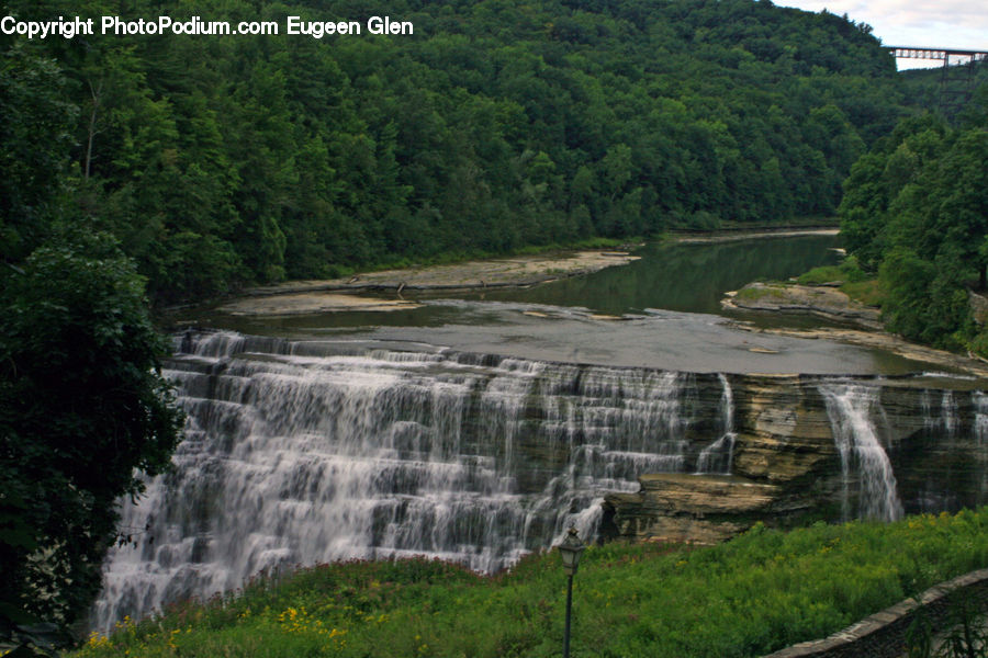 Outdoors, River, Water, Waterfall, Creek, Forest, Vegetation