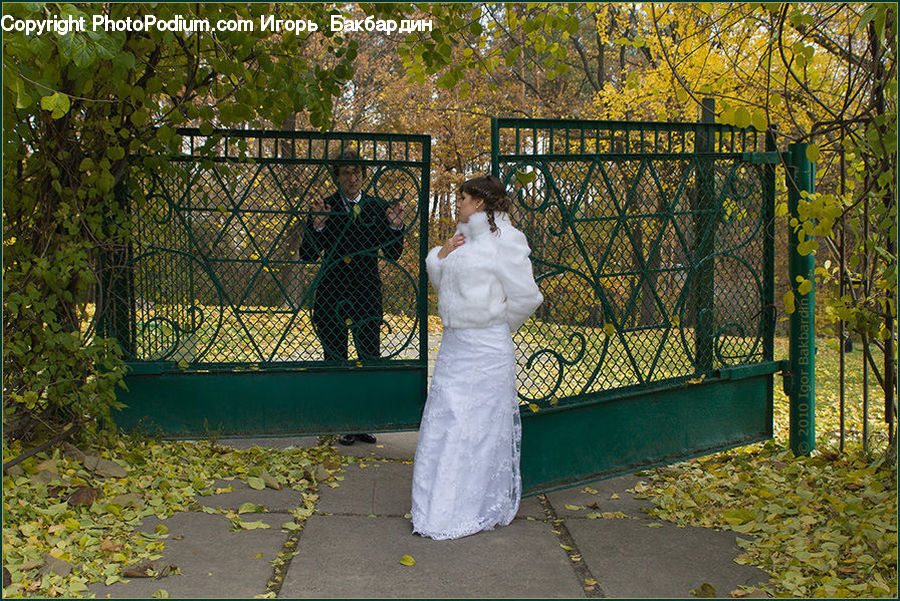 Human, People, Person, Clothing, Dress, Robe, Lace