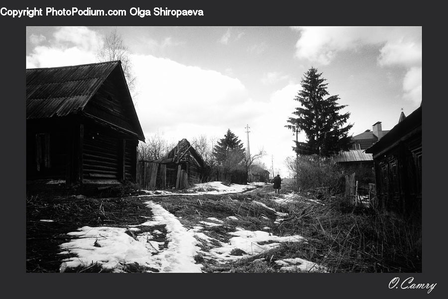 Conifer, Fir, Pine, Spruce, Wood, Building, Cottage