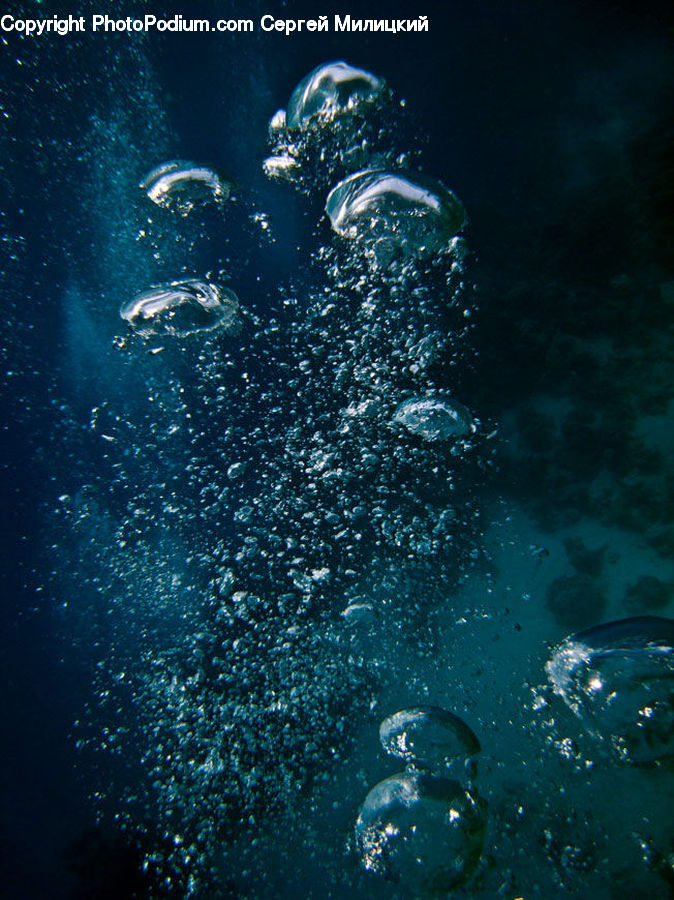 Diver, Diving, Person, Water, Sport, Atoll, Beach