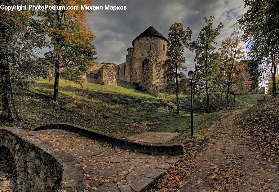 Ruins, Plant, Tree, Architecture, Castle, Fort, Asphalt