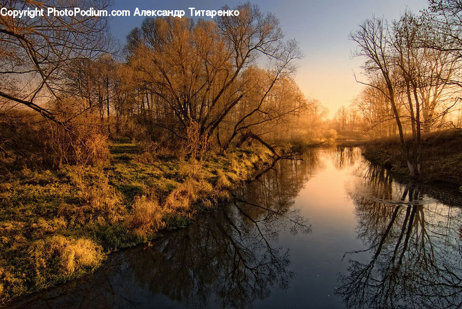 Outdoors, River, Water, Landscape, Nature, Scenery, Field