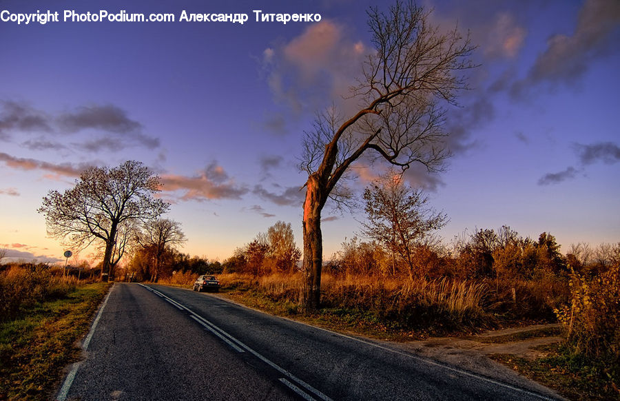 Dirt Road, Gravel, Road, Asphalt, Tarmac, Landscape, Nature