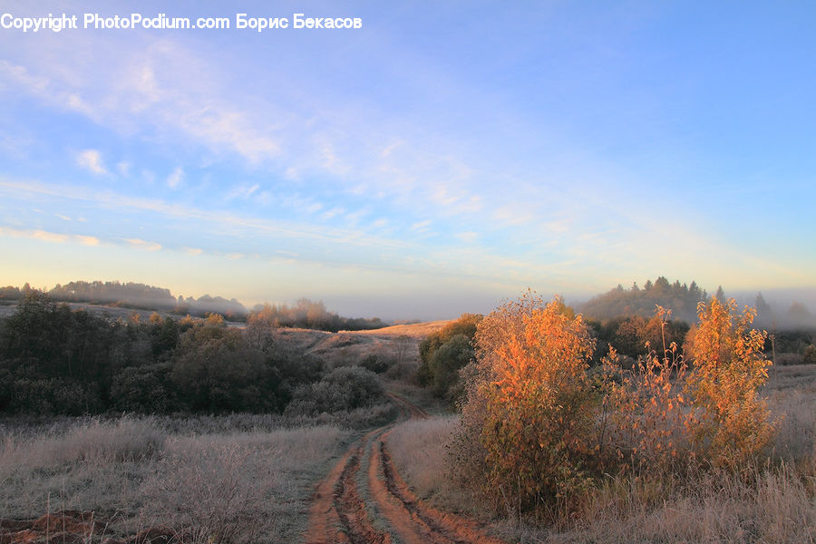 Dirt Road, Gravel, Road, Path, Trail, Countryside, Outdoors