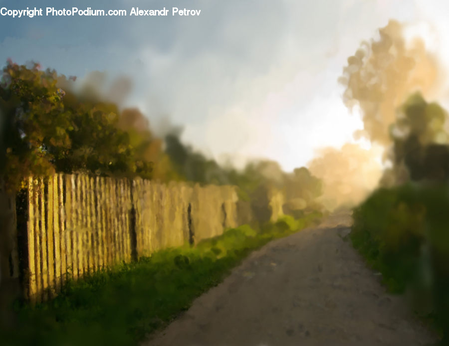 Dirt Road, Gravel, Road, Countryside, Farm, Field, Vineyard