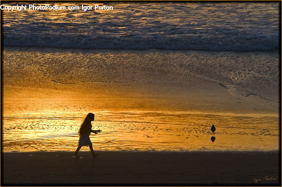 Beach, Coast, Outdoors, Sea, Water, Leisure Activities, Landscape