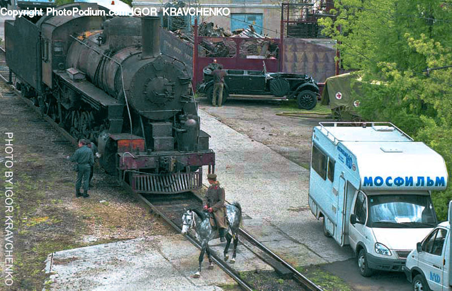 Train, Vehicle, Animal, Horse, Mammal, Car, Van
