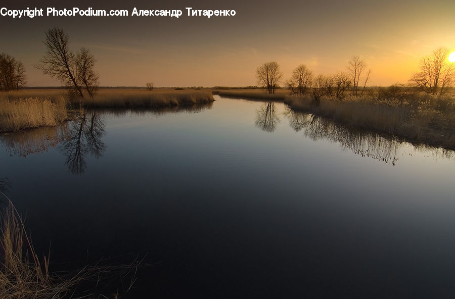 Land, Marsh, Outdoors, Swamp, Water, Grass, Plant