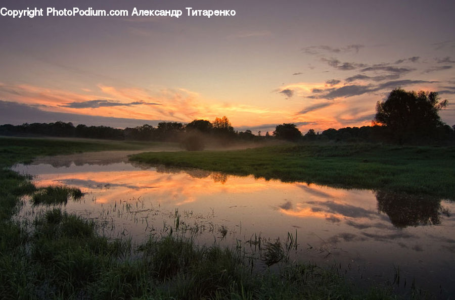 Land, Marsh, Outdoors, Swamp, Water, Dawn, Dusk