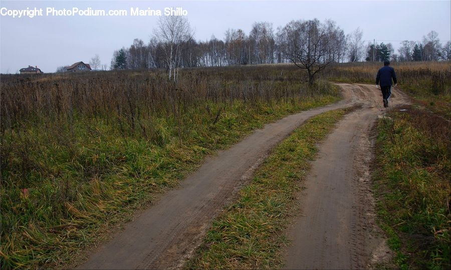 Dirt Road, Gravel, Road, Path, Trail, Ground, Soil