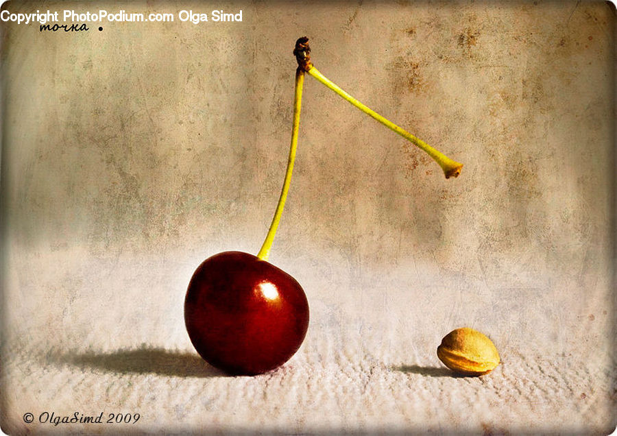 Apple, Fruit, Clam, Seashell, Cherry, Plum, Bowl