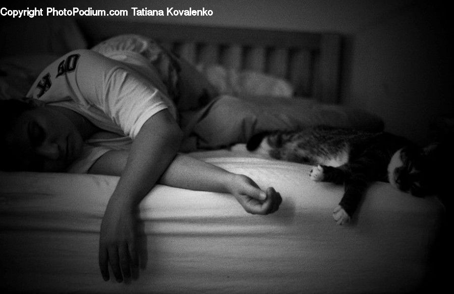 Asleep, Animal, Bedroom, Indoors, Room