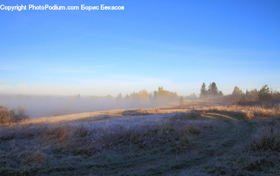 Frost, Ice, Outdoors, Snow, Dirt Road, Gravel, Road