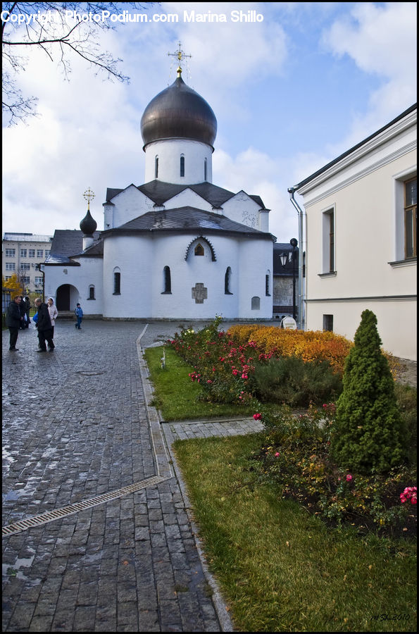 Plant, Potted Plant, Architecture, Dome, Housing, Monastery, Garden