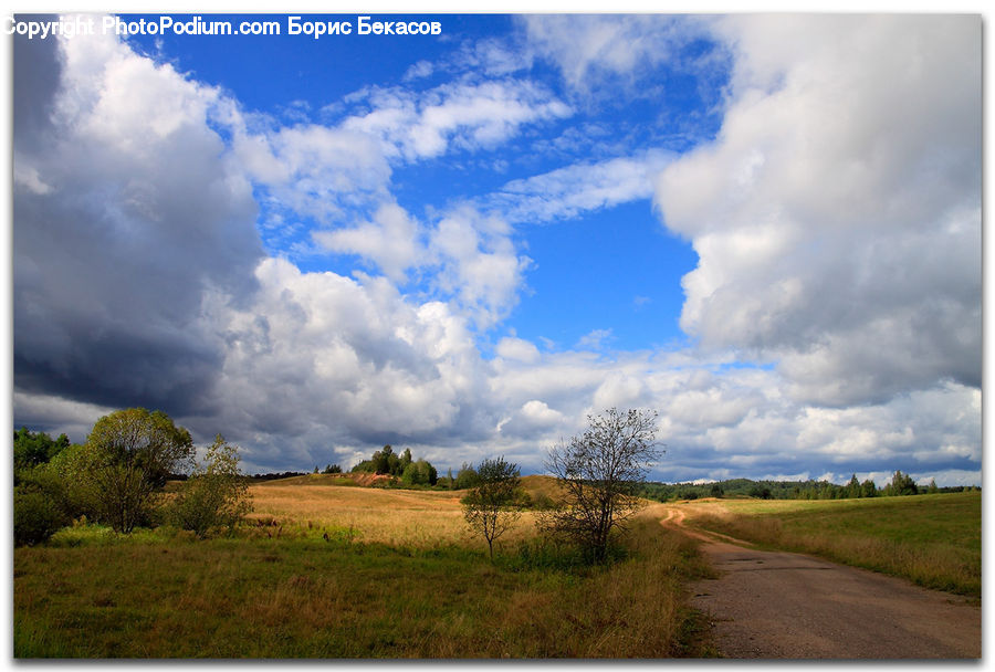 Cloud, Cumulus, Sky, Plant, Tree, Field, Grass