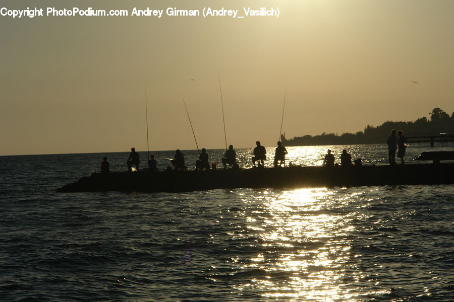 Fishing, Ferry, Freighter, Ship, Tanker, Vessel, Coast