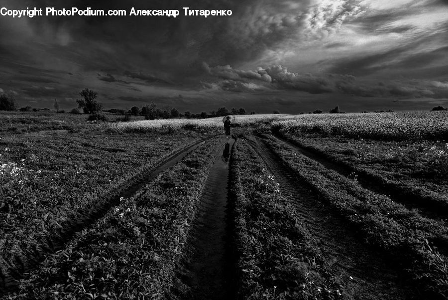 Field, Countryside, Farm, Soil, Outdoors, Road