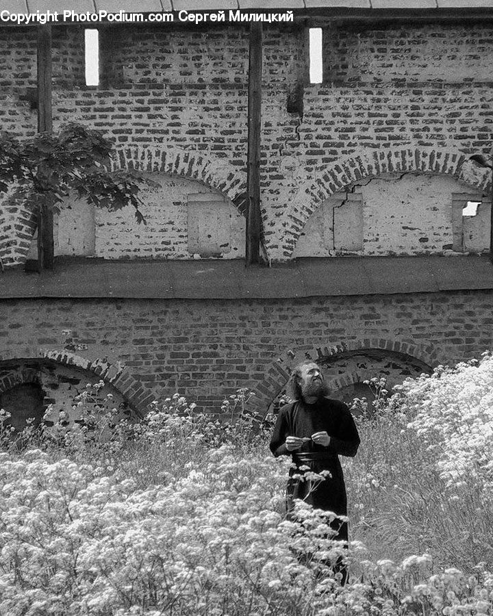 Human, People, Person, Ivy, Plant, Vine, Brick