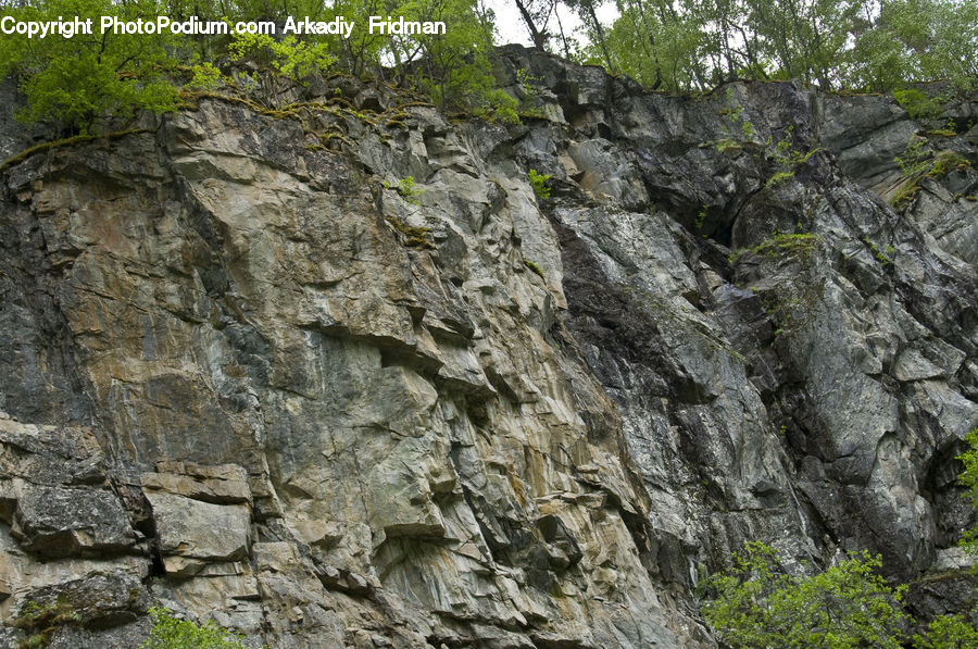 Cliff, Outdoors, Landslide, Rock, Plant, Vegetation, Soil