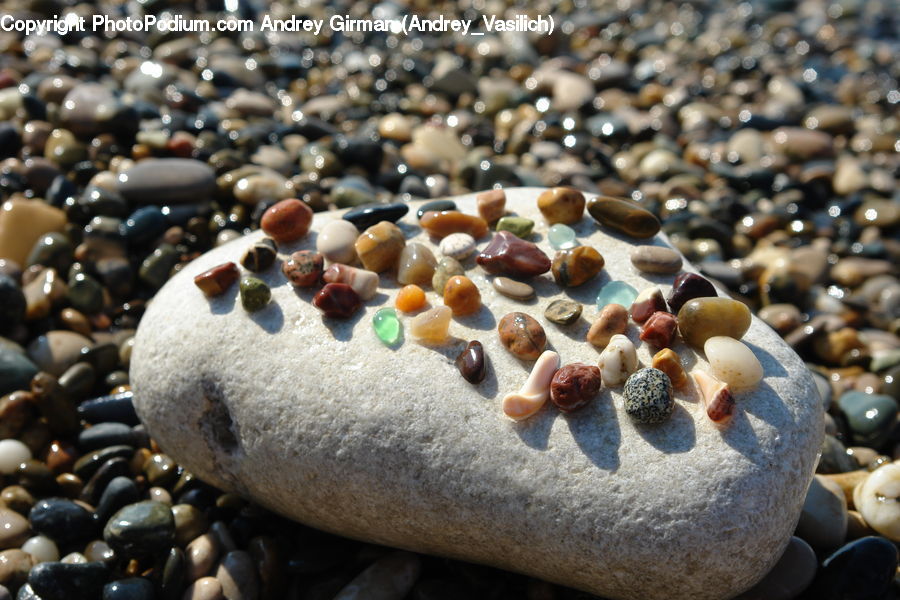 Pebble, Bean, Produce, Vegetable, Blueberry, Fruit