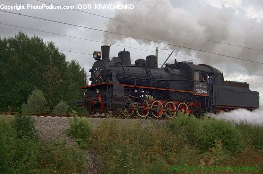Locomotive, Rail, Train, Transportation, Vehicle, Train Track, Passenger Car