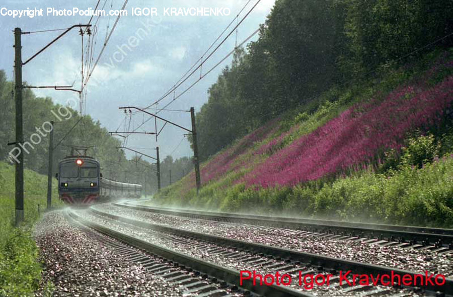 Train, Vehicle, Rail, Train Track, Dirt Road, Gravel, Road