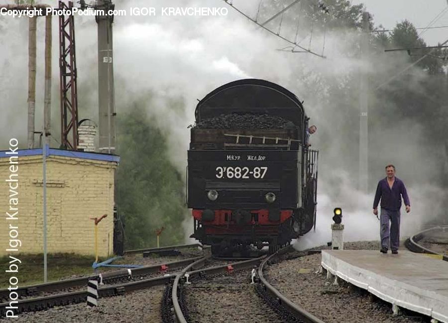 Train, Vehicle, Rail, Train Track