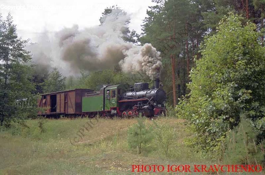 Train, Vehicle, Smoke, Locomotive, Rail, Transportation, Cabin