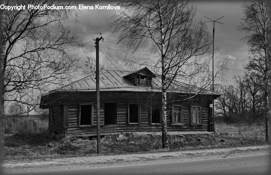 Plant, Tree, Building, Cottage, Housing, Deck, Porch