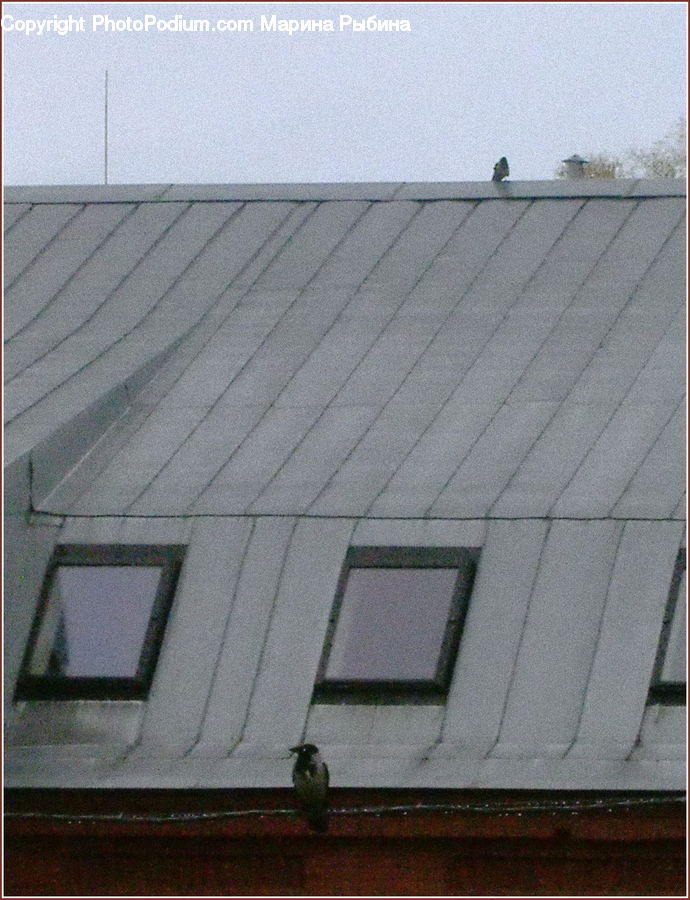 Roof, Asphalt, Tarmac, Brick, Building, Housing