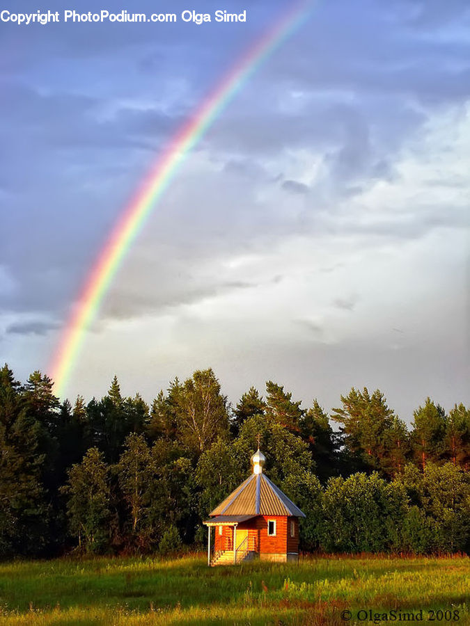Outdoors, Rainbow, Sky, Conifer, Fir, Plant, Tree