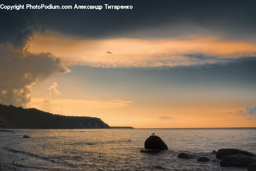 Beach, Coast, Outdoors, Sea, Water, Ocean, Dawn