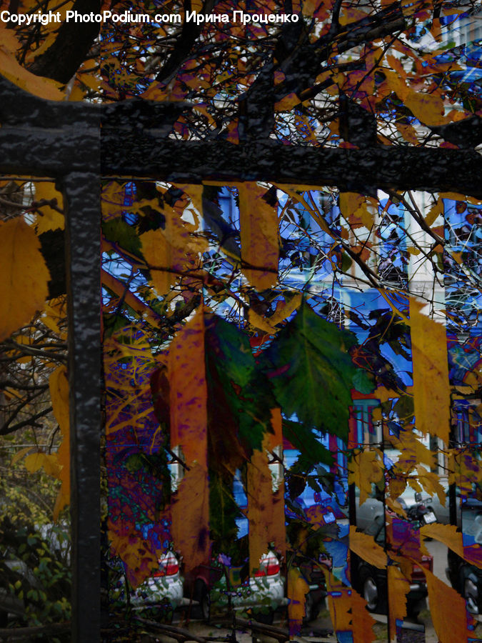 Collage, Poster, Paper, Art, Stained Glass, Birch, Tree