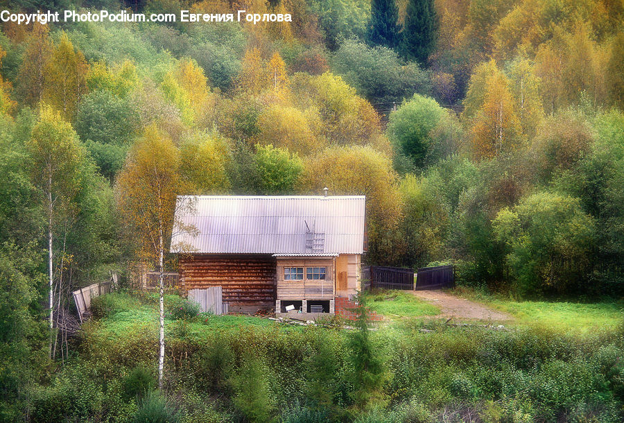 Cabin, Hut, Rural, Shack, Shelter, Freight Car, Shipping Container