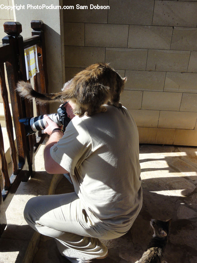 People, Person, Human, Photographer, Braid, Hair, Ponytail