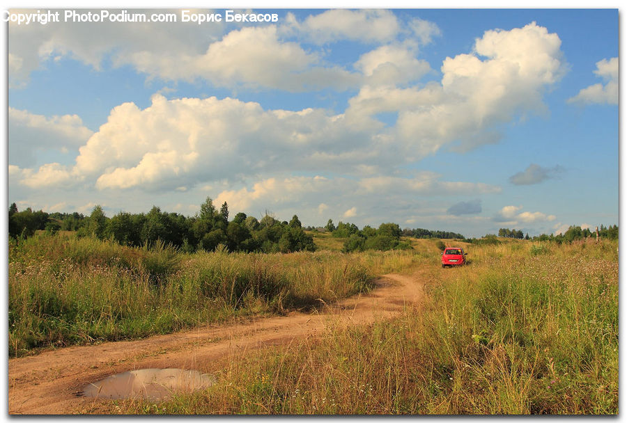 Field, Grass, Grassland, Land, Outdoors, Dirt Road, Gravel